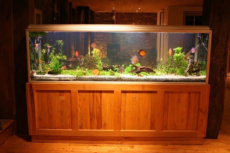 Δεξαμενή Discus