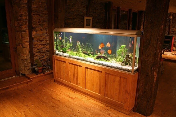 Αποστειρωτής UV Discus Tank