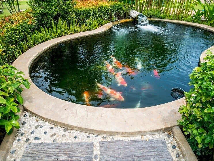 Εξοπλισμός Koi Pond