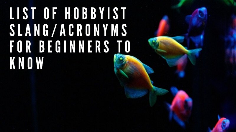 λίστα των χόμπι slang_acronyms για αρχάριους να γνωρίζουν