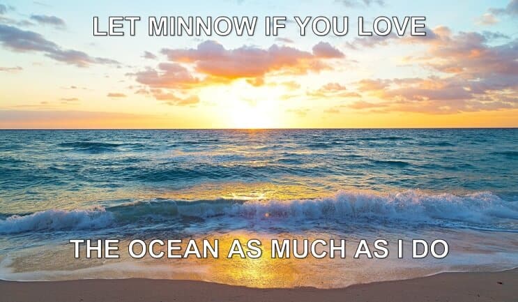 Αφήστε τον Minnow
