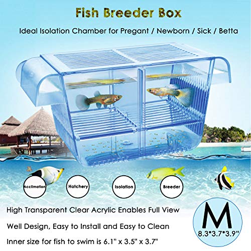 capetsma Fish Breeder Box, Hang-on Nursery Fish Tank with Breeding Hatching Incubator Acclimation Box, Perfect Fish Tank Divider for Επιθετικό Τραυματισμένο Έγκυο Ψάρι Μικρό Ψάρι Αλατόνερο Γαρίδα Clownfish