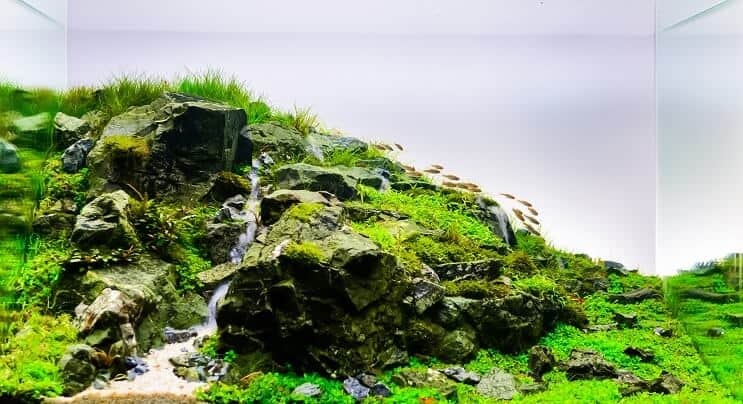 Ενυδρείο Aquascape